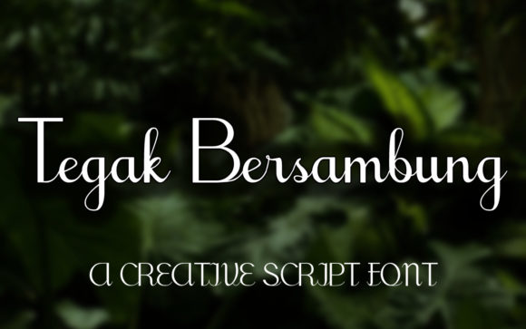 Tegak Bersambung: A Script Font That Flows With Your Creativity